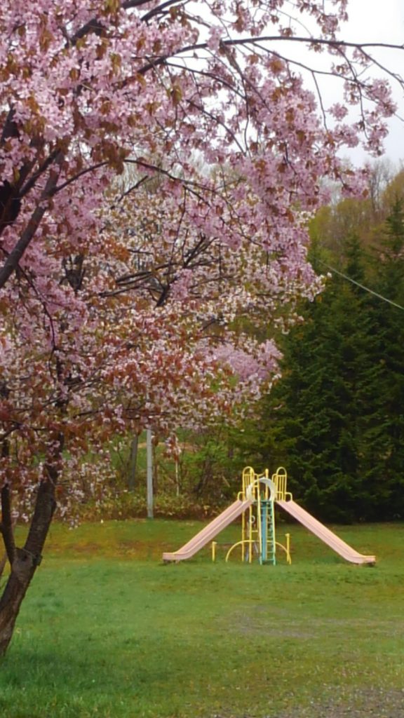 南空知ふるさと市町村圏組合 北海道の観光サイト 東明公園