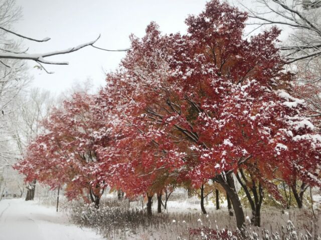南空知のイベント情報11,12,１月分を更新いたしました。