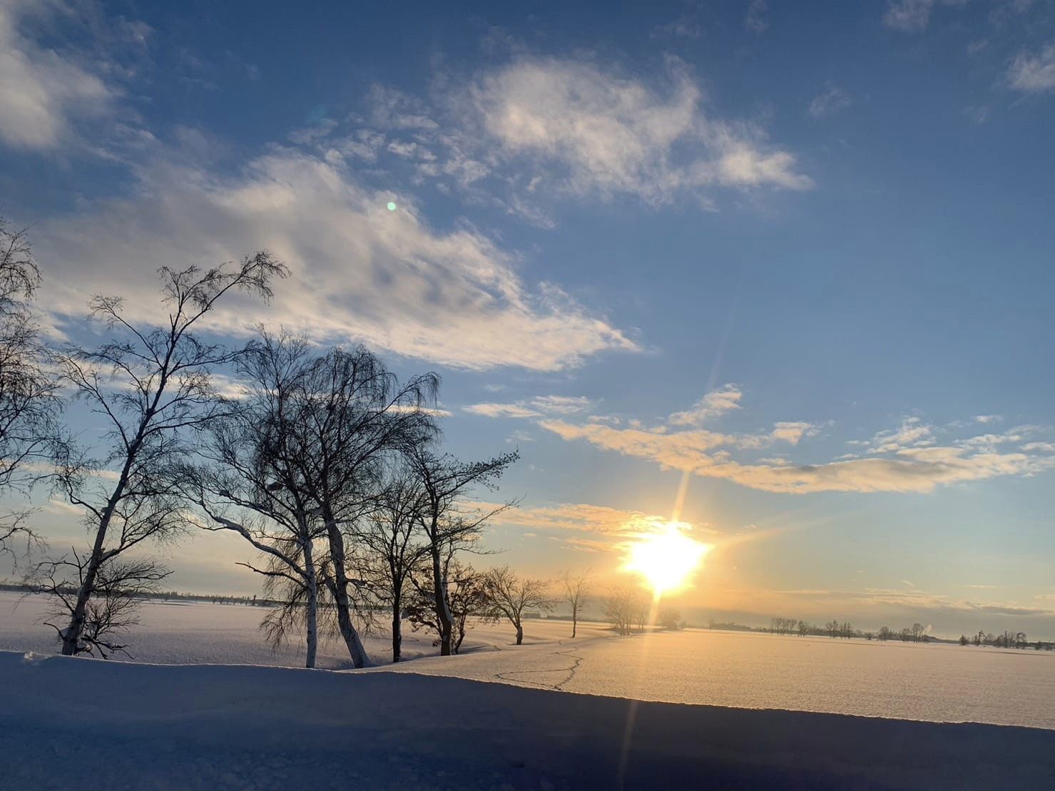 南空知のイベント情報12,１,2月分を更新いたしました。
