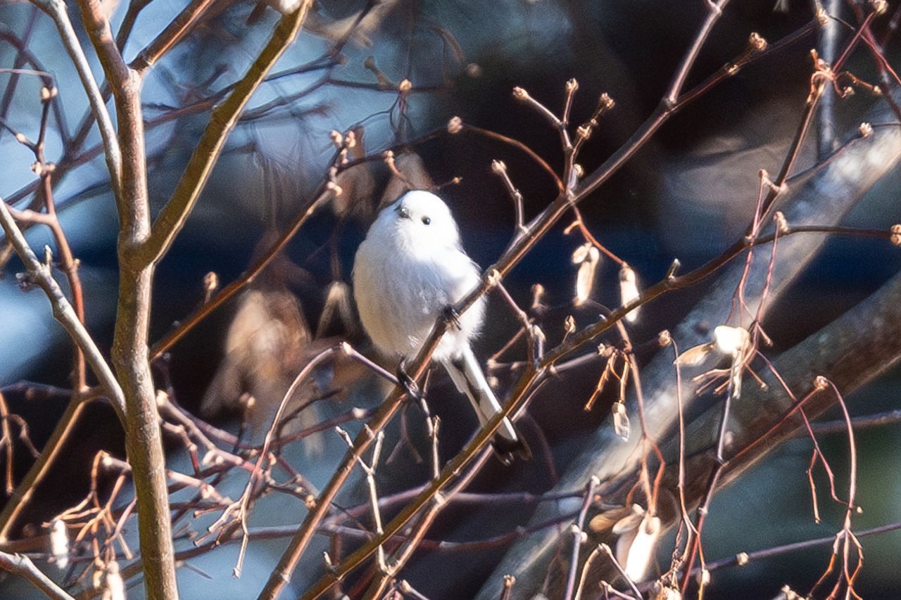 南空知のイベント情報３,４,５月分を更新いたしました。
