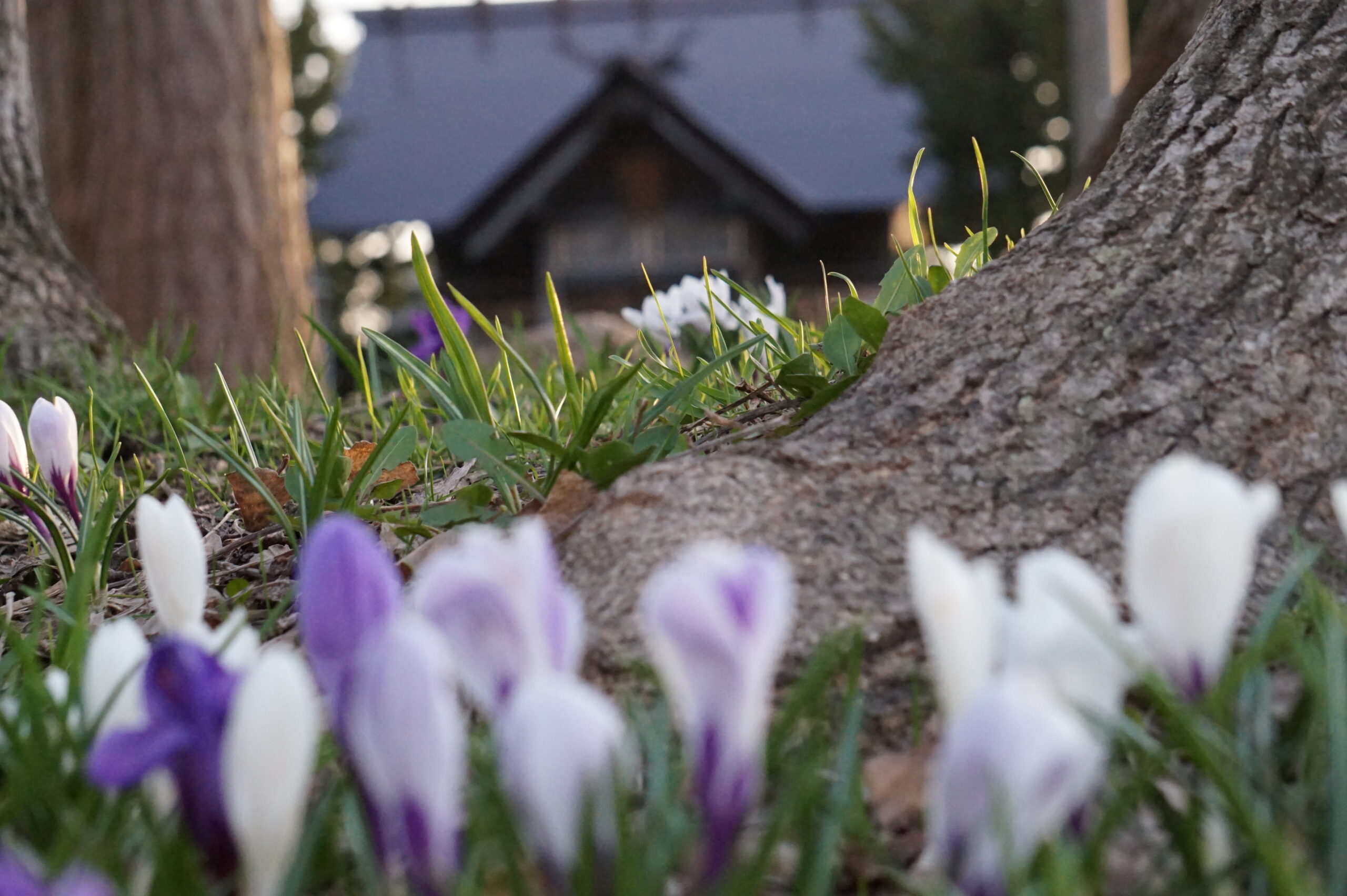 南空知のイベント情報４,５,６月分を更新いたしました。