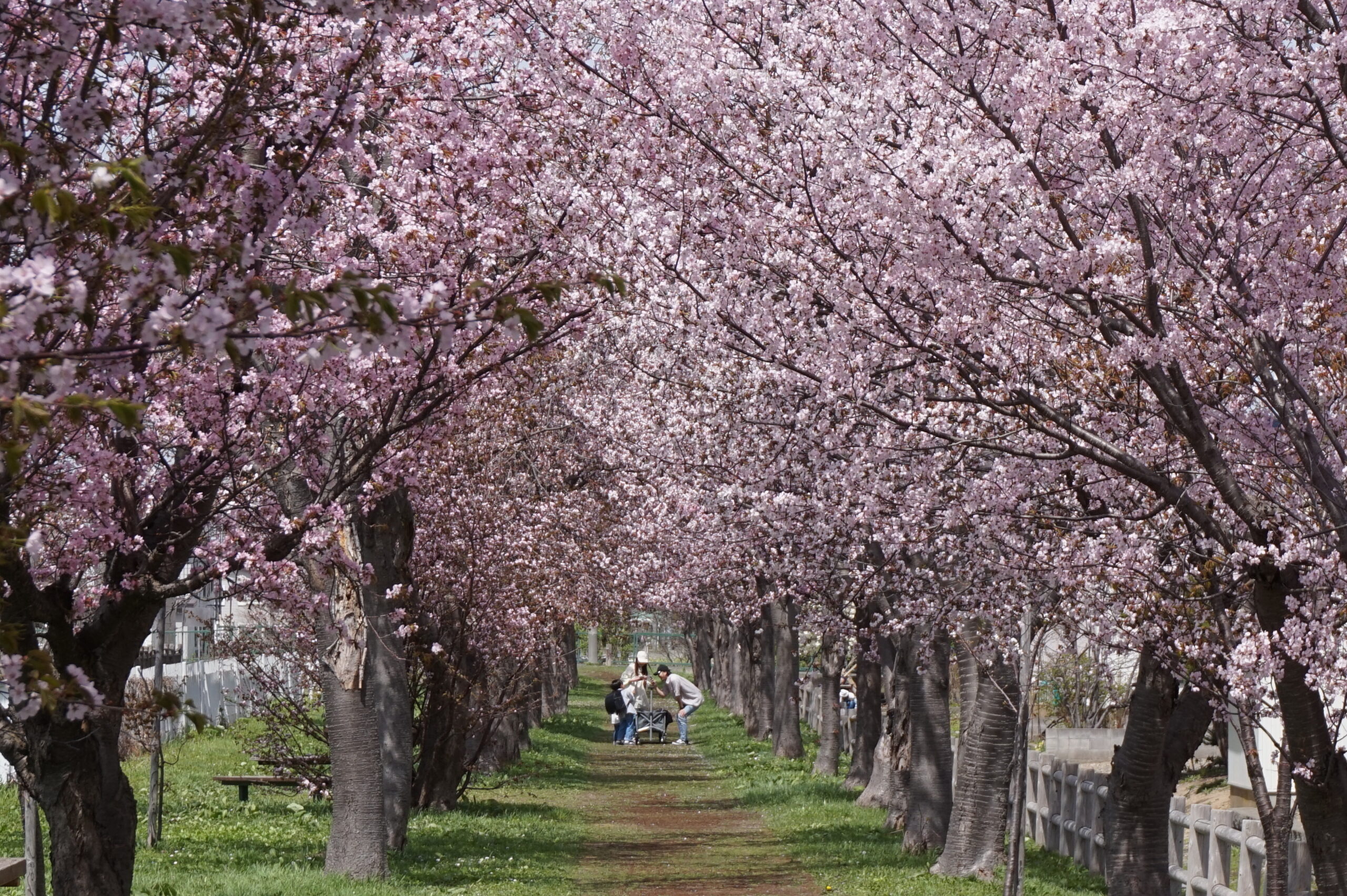 南空知のイベント情報５,６,７月分を更新いたしました。